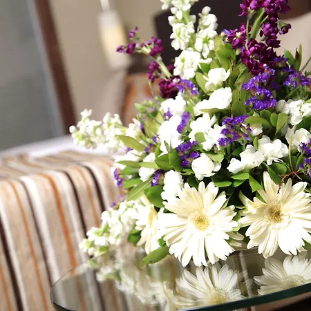 Hotel Kolin & Convention Center 5*