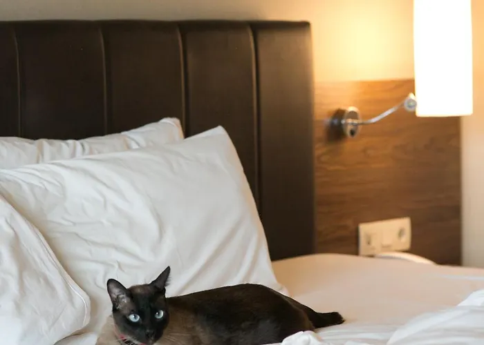 Kolin & Convention Center Çanakkale